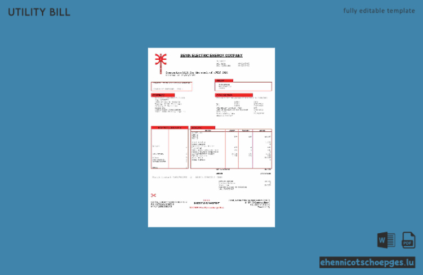 Beispiel für eine Stromrechnung der Benin Electric Company (Vorschau)